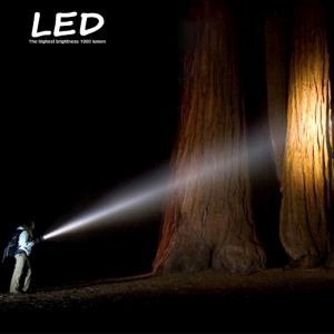 LG series LED Flashlight
