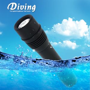 H9 Diving Flashlight